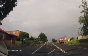 Mount Annan 240213