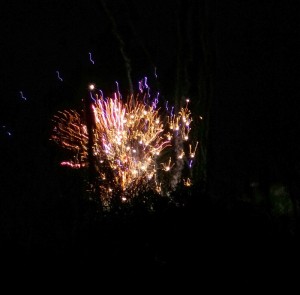 EMHS-carnival-fireworks-1