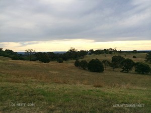 botanical-gardens-010914