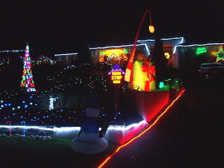 Mount Annan Xmas lights 2011_0004