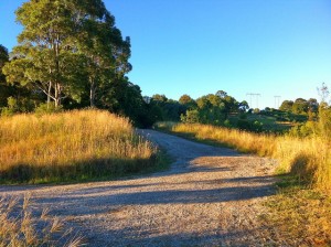 William Howe Reserve looking East up hill