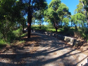 William Hower Reserve trail near the top