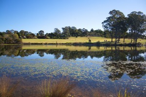 Carols-in-the-Garden-at-the Botanical-Gardens