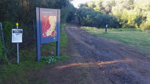 Mount-Annan-MTB-competent