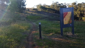 Mount-Annan-MTB-intermediate